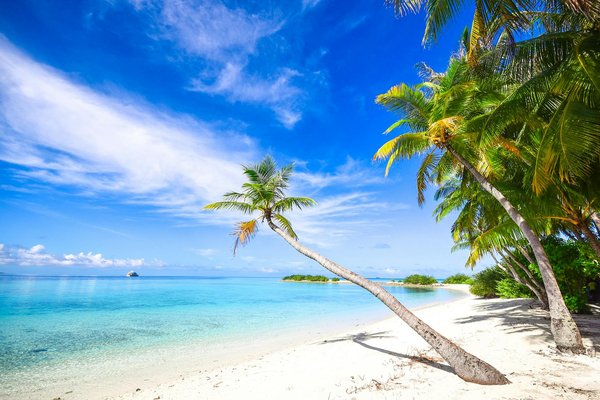 Faire du camping en Provence : la meilleure période de l'année